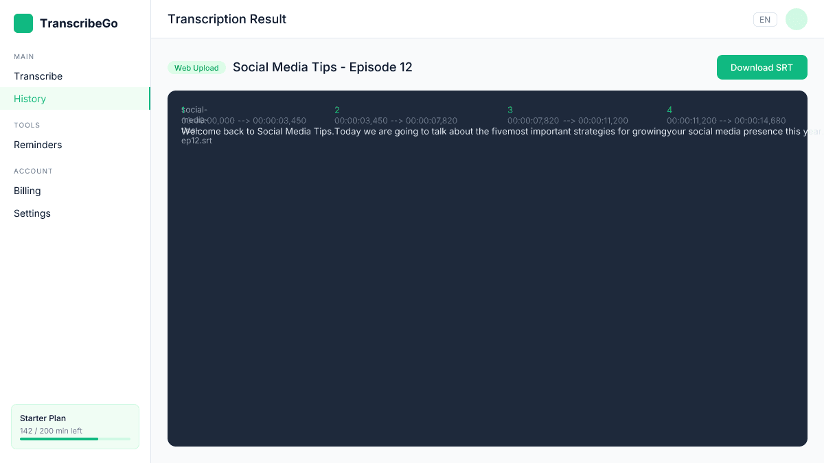 Resultado da transcrição do TranscribeGo com o botão de download SRT destacado